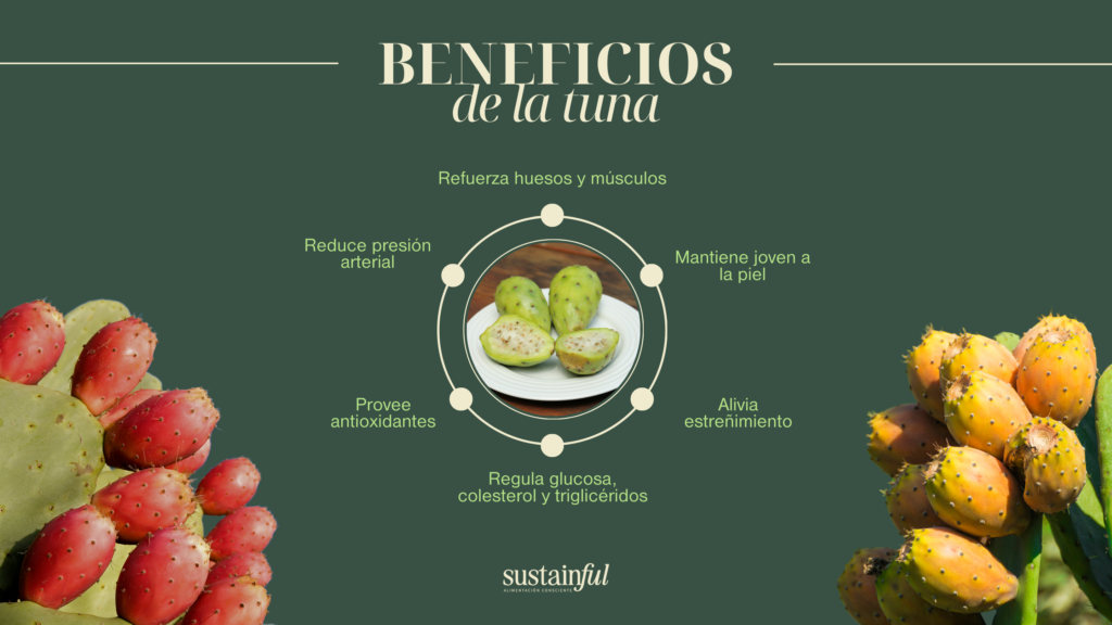 10 beneficios de la tuna